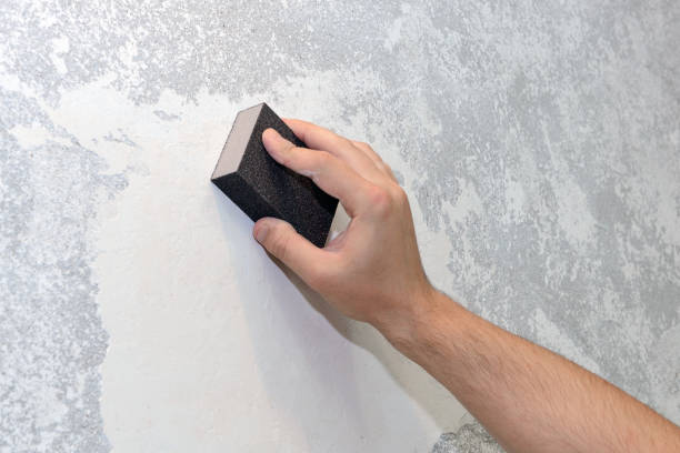 Best Asbestos and Lead Testing During Mold Inspection  in Hastings, MN