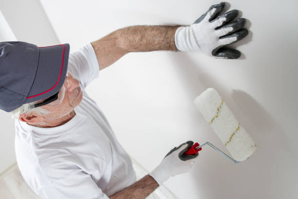 Best Forensic Mold Investigation  in Hastings, MN
