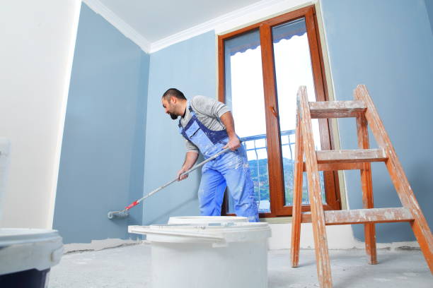 Best Environmental Consulting for Mold Prevention  in Hastings, MN