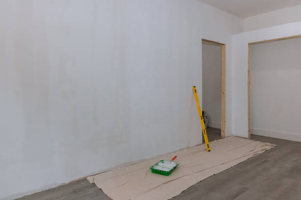 Best Black Mold Removal  in Hastings, MN