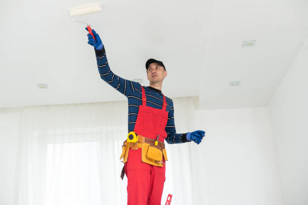 Best Real Estate Mold Inspection  in Hastings, MN