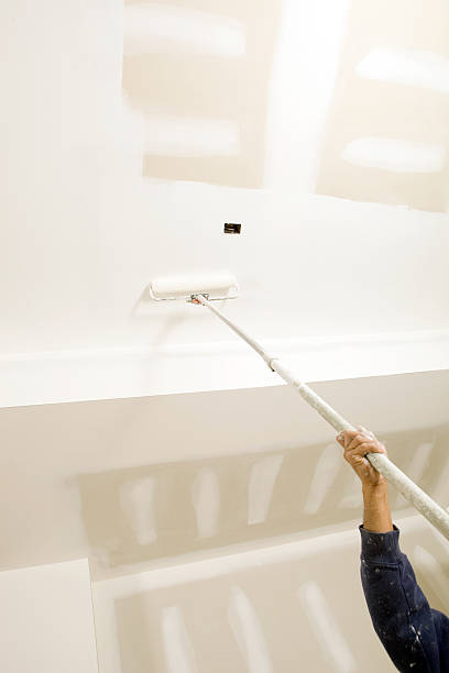 Best Mold Prevention Services  in Hastings, MN