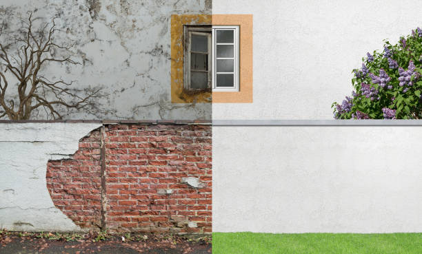 Best Mold Damage Restoration  in Hastings, MN