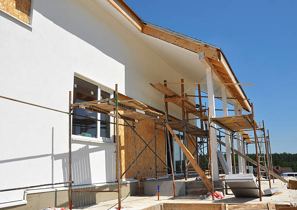 Best Post-Construction Mold Inspection  in Hastings, MN