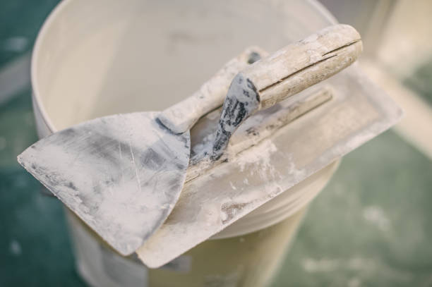 Best Mold Documentation for Insurance Claims  in Hastings, MN