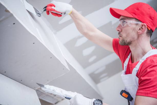 Best Airborne Mold Testing  in Hastings, MN